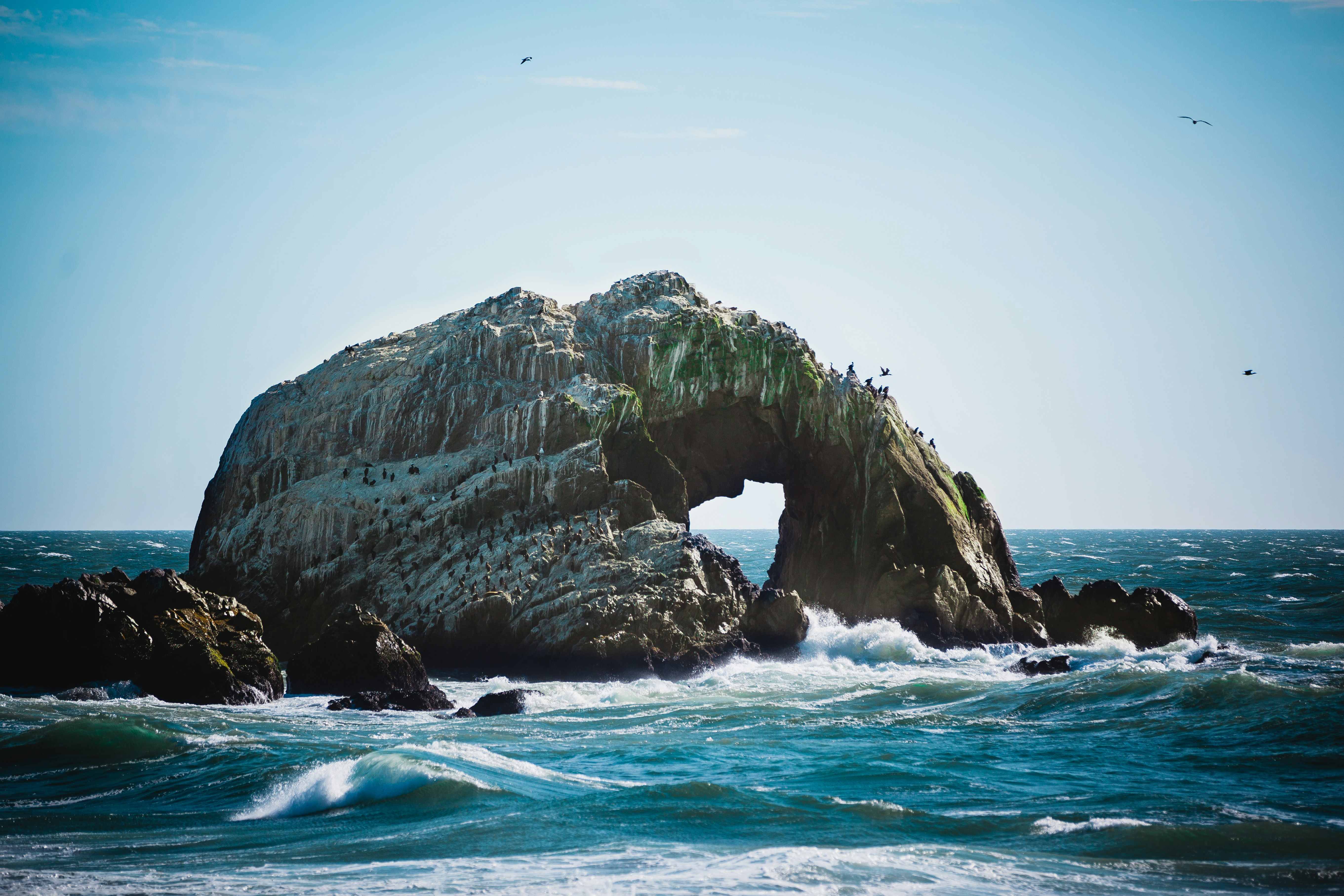 photo of sea wave crashing into boulder